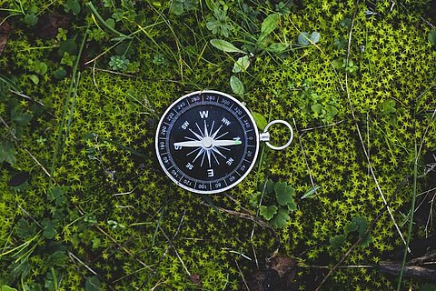 Öffnet die Seite Zielgruppen in der Naturbildung