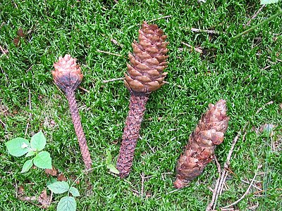 Bild zu Naturwissen