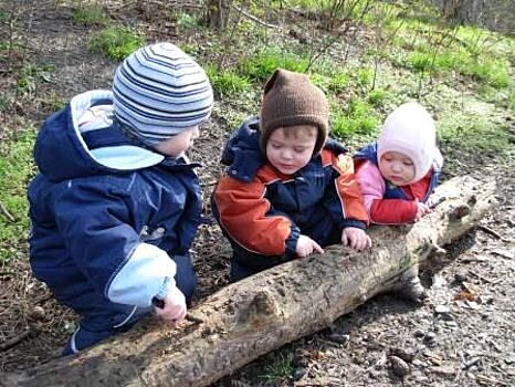 Bild für die Seite Gründungsberatung Waldkindergarten