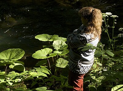 Bild zu Natur und persönliche Entwicklung